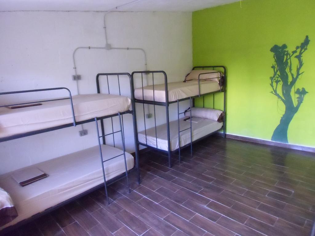 Hakuna Matata El Campello Room photo